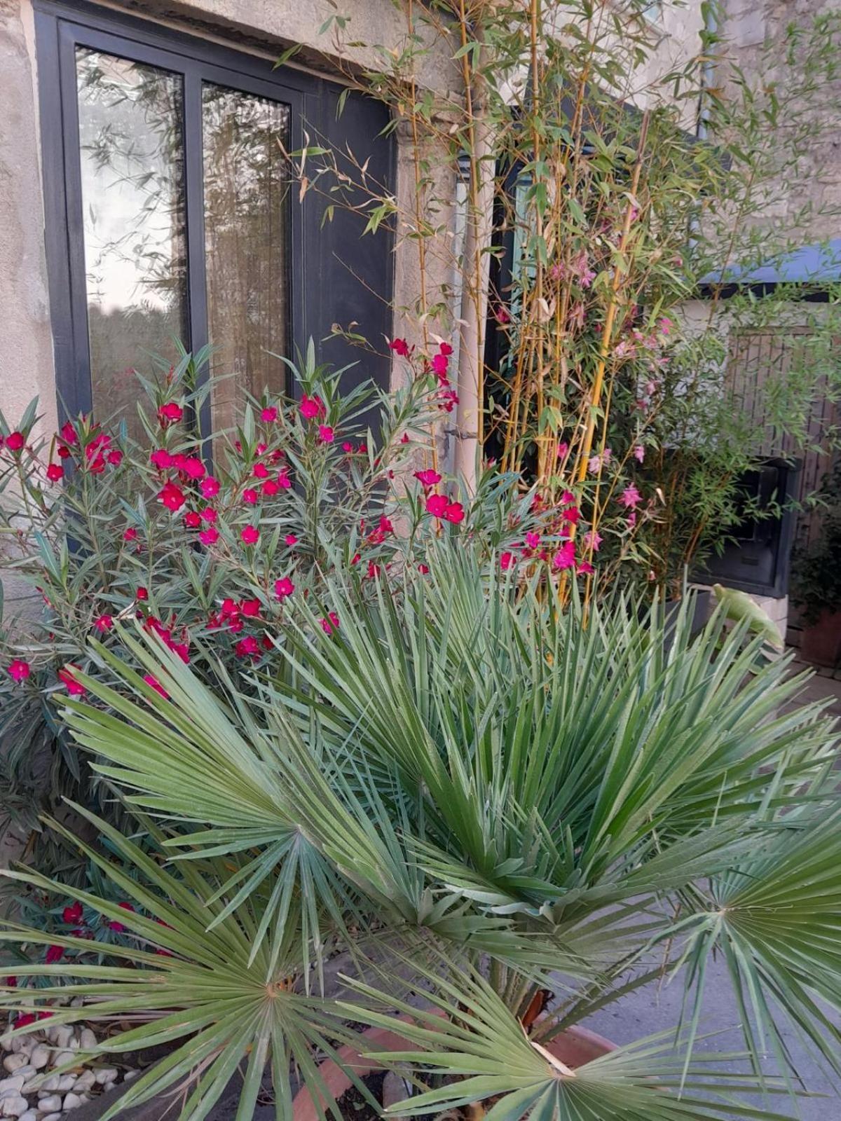 Le Clos Du Rouet Tarascon Extérieur photo