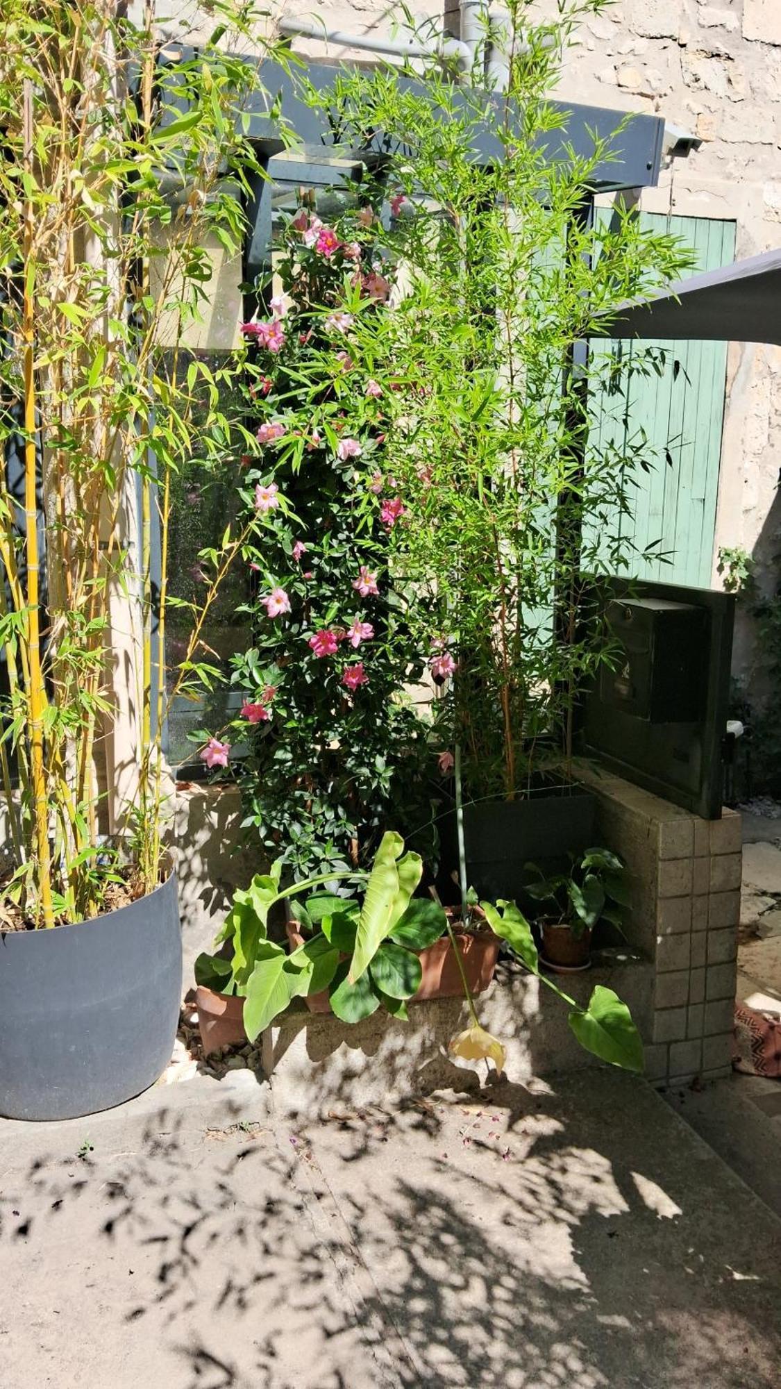 Le Clos Du Rouet Tarascon Extérieur photo